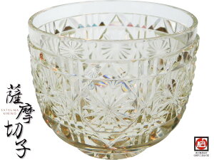 y - F؎q - zÎ  pĖ (ߐF) 65×55H×100ml { `IH|iw F؎q Tc}LR ؎q 傱 傱 蕨 v[gKX T[rXI