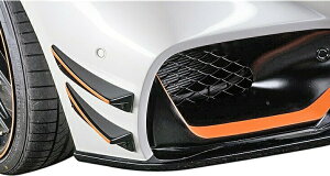 �yM's�zC190 �����Z�f�X-AMG GT�i2015y-�jWALD �J�i�[�h�iFRP�j�^�^���K�i ���@���h �o���h SPORTS LINE Black Bison Edition �G�A�� W190 �x���c AMG-GT Mercedes-AMG GT