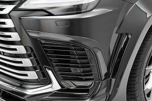 �yM�fs�z ���N�T�X LX600 3BA-VJA310W �O�� (2022y-) WALD BLACK BISON �t�����g�o���p�[�K�[�j�b�V�� 2�s�[�X ABS �G�A�� �p�[�c ���@���h �o���h �J�X�^�� �G�N�X�e���A ���i �O�� ���� �ЊO�i ���K �O���^