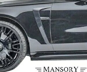 yM'sz W223 xc gAMG-LINEh SNX O (2021y-) MANSORY tF_[pl Type-2 ^^ }\[ CARBON J[{ GA p[c JX^ Vv O  V^ s ZfX AMGC ^