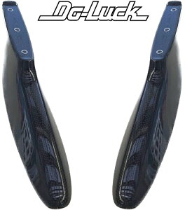 yM'sz Y R34 XJCC GT-R BNR34 (1999.1-2002.12) Do-Luck J[{ AEBOXe[ P E CARBON hD[bN GA p[c i  O ЊO Do Luck DoLuck hDbN JX^ NISSAN 