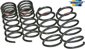 yM'szg^ 86 ZN6 (12.04-)TRUST GReddy BLRtH[g _EXvO(1䕪) ԌΉi gXg _ETX [_E ЊOi TOYOTA n`N FA20 TYG104 14011404