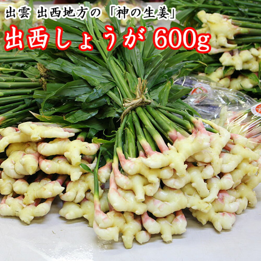 楽天市場 出西生姜 しゅっさいしょうが ご家庭用に 600ｇ21年分販売終了 送料無料 出西しょうが 出雲 島根 縁結び本舗