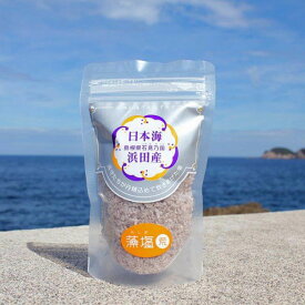 調味料 塩 浜守の藻塩(荒) 80g×3個