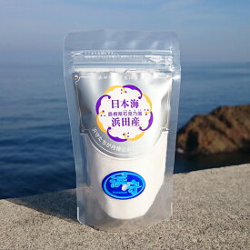 調味料 塩 浜守の塩 100g×3個