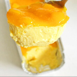 ACX v J^[i }S[×3 peBX[[ ACXN[