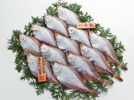 魚 干物 「一日漁」 かれい一夜干し 1200g 岡富商店