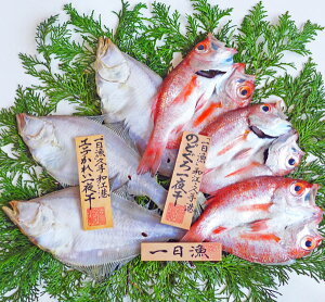 のどぐろ 干物 「一日漁」 のどぐろ・かれい一夜干し 岡富商店
