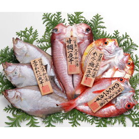 魚 干物 「一日漁」 島根県沖一夜干し 恵比寿セット岡富商店