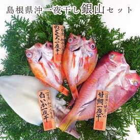 魚 干物 「一日漁」 島根県沖一夜干し 銀山セット 岡富商店