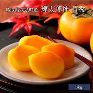 【10月出荷 送料無料】 JA鳥取いなば 輝太郎柿 青秀 3kg箱入 進物用 ギフト 個包装 きたろうがき