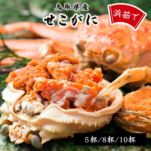 挧I`Y {C 100g 5t/8t/10t u ws Ԍ eKj  Kj tKj YCKj zOKj t Kj ZRKj 