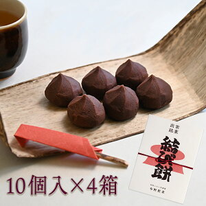 o_ і 10×4 z쐻 Q 񂱂