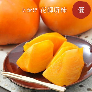 希少柿&甘さ抜群! こおげ 花御所柿 優 箱入り 甘い 鳥取県八頭町産 高級 お歳暮 贈答 ギフト 産地直送 数量限定 期間限定 山陰【送料無料】