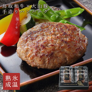 ハンバーグ 冷凍 ギフト 氷温熟成 鳥取和牛×大山豚手造りハンバーグ 6個入送料無料 ホクニチ