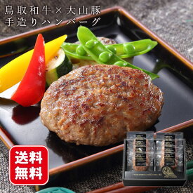 【レビュー特典付】 ハンバーグ ギフト 鳥取和牛×大山豚手造りハンバーグ 送料無料 ホクニチ 冷凍