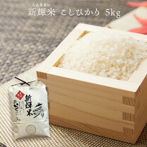 楽天市場】天日干し 米 5キロ 精米 新米の通販