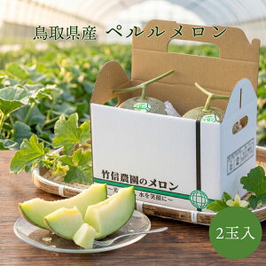 �y���������� 2�� �i1�ʖ�2kg�j ���x15�x�ȏ� �|�M�_�� ���挧�Y ��h ���O���[���Ɠ��i�� ������ �M�t�g ������ ���� �Y�n���� ���� ���n �t���[�c �ʕ� 2�L�� ��R
