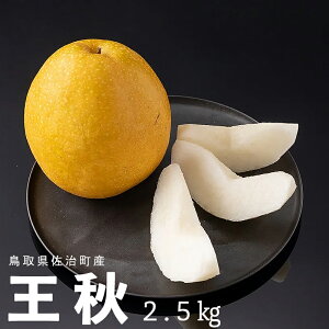 ɂݔ_ H 2.5kg (4`6) Y  Â ʕ t[c Ԍ ʌ y2025N10{ȍ~z