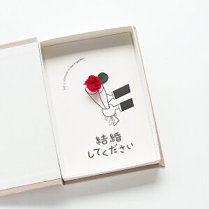 v|[Y vv|[Y ԑ o 1{ vU[uht[ u[P  |Xg Mtg  bZ[WJ[h RpNg t Ă ubN^ {bNXt