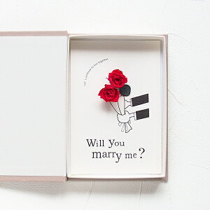 v|[Y vv|[Y o 2{ ԑ vU[uht[ ^ubg^ u[P  |Xg Mtg  bZ[WJ[h RpNg t Ă {bN