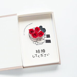 v|[Y vv|[Y o 4{ ԑ vU[uht[ ^ubg^ u[P  |Xg Mtg  bZ[WJ[h RpNg t Ă {bN