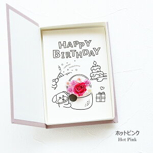  Mtg o[Xf[J[h RpNg t o[Xf[J[h vU[uht[ 񂿂 p[eB[ Ԃ  CXg ubN^ {bNXt[ |Xg Mt