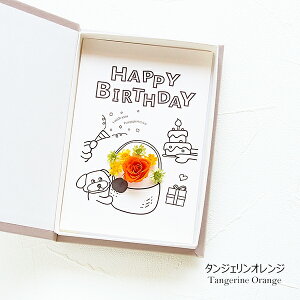  Mtg o[Xf[J[h RpNg t o[Xf[J[h vU[uht[ 񂿂 p[eB[ Ԃ  CXg ubN^ {bNXt[ |Xg Mt