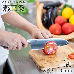 O O  nn 17cm ƒp Lb`iCt i { Y V Mtg 蕨 V l炵 ̓ ̓ Lb`pi 