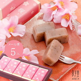 プチギフト 個包装　配る お菓子 スイーツ 誕生日 内祝 御祝 お花見 / 岐阜 桜 さくらようかん 5入 / 良平堂 送料込