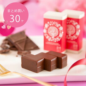 チョコレート ようかん 羊羹 チョコ プチギフト チョコ スイーツ ギフト 御礼 個包装 送料無料 / 岐阜 和しょこら 1ケx30　セット / 良平堂 【あす楽対応】