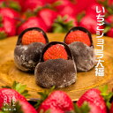 お返し ありがとう プチギフト 内祝 ギフト 誕生日 お祝 和菓子 贈り物 / 岐阜 いちごショコラ大福 6ヶ チョコ大福【あす楽対応】