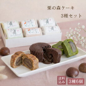 お盆 初盆 帰省 2026 贈答品 贈り物 栗の森ケーキ6入セット ギフト プレゼント 洋菓子 焼き菓子 フォンダンショコラ チョコ チョコレート 焼きモンブラン 抹茶 カップケーキ 人気 個包装 高級 誕生日 御祝 お礼 可愛い おしゃれ 詰め合わせ 岐阜 恵那 良平堂