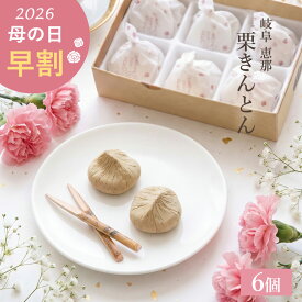 早割 母の日 2026 ギフト 送料無料 / 母の日 栗きんとん 6個 / プレゼント 義母 お母さん 50代 60代 70代 80代 花以外 お菓子 和菓子 洋菓子 スイーツ 詰め合わせ 個包装 高級 老舗 お取り寄せ 和栗 母の日専用ラッピング メッセージカード付
