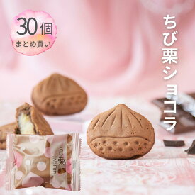 ギフト お菓子 ギフト プレゼント 老舗 スイーツ 誕生日 個包装 内祝 御礼 栗菓子 / ちび栗ショコラ x30 / 岐阜 良平堂 送料無料