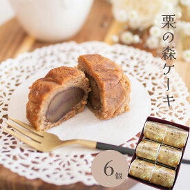 グルテンフリー スイーツ 焼き菓子 ランキング 御供 即日発送 誕生日 出産内祝 内祝 御礼 お返し 手土産 お土産 取引先 上司 親 栗菓子 マロン/ 栗の森の ケーキ 6入 / 岐阜 恵那 良平堂 【あす楽対応】