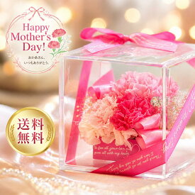 カーネーション が可愛い母の日ギフト プリザーブドフラワー ギフト プレゼント 誕生日 母の日 退職祝い 結婚祝い 結婚記念日 ブリザード プリザーブド フラワー 花 バラ ローズ 記念日 贈り物 お祝い ブリザードフラワー 女性 かわいい おしゃれ シュシュ 父の日