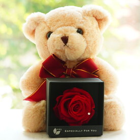 スイートベビーベア with ローズボックス 誕生日 記念日 プレゼント ギフト 結婚祝い 結婚記念日 出産祝い 退職祝い くま ベア ぬいぐるみ 花 フラワー プリザーブドフラワー フラワーギフト かわいい テディベア 女性 送料無料 バレンタイン
