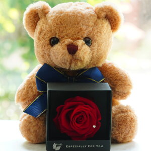 XC[gxr[xA with [Y{bNX a LO v[g Mtg j LO oYj ސEj  xA ʂ  t[ vU[uht[ t[Mtg 