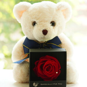 XC[gxr[xA with [Y{bNX a LO v[g Mtg j LO oYj ސEj  xA ʂ  t[ vU[uht[ t[Mtg 