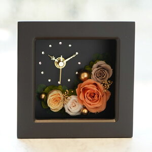 Ԏv vU[uht[ uv v ސEj a j v[g Mtg j  e 蕨  җj  j i 搶  t[ o uv lC u