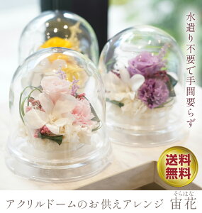  vU[uht[  a uU[uht[ 蕨  t[ e ae me @ Mtg dp  j  uU[h vU[ht[ ͂Ȃ _  