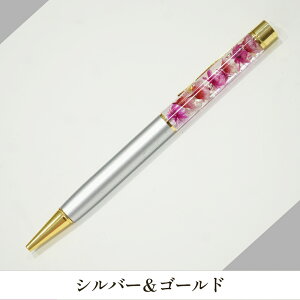  {[y Mtg n[oE d a Mtg v[g  j d LO 蕨 r ̓ j n[oE  K[f DIY  ϗtA n[o