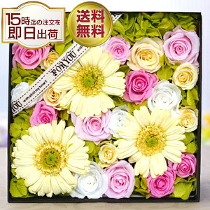 vU[uht[ K[x ̉Ԕ ސEj j LO a {bNXMtg BOX Mtg  e d v[g j  o vU[uh t[ җ җj 