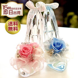 楽天市場 シンデレラ 花 観葉植物 花 ガーデン Diy の通販