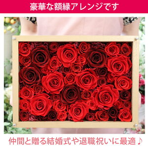 楽天市場 退職祝い プリザーブドフラワー 記念品 額 記念日 結婚祝い 還暦祝い プリザーブド フラワー 退職 豪華 お祝い 結婚記念日 結婚式 両親 結婚 贈り物 ギフト プレゼント 額 額縁 電報 還暦祝い 還暦 喜寿 古希 花 父の日 送料無料 花看板 フラワーディスプレイ 楽天市場 退職祝い プリザーブドフラワー 記念品 額 記念日 結婚祝い 還暦祝い プリザーブド フラワー 退職 豪華 お祝い 結婚記念日 結婚式 両親 結婚 贈り物 ギフト プレゼント 額 額縁 電報 還暦祝い 還暦 喜寿 古希 花 父の日 送料無料 花看板 フラワーディスプレイ