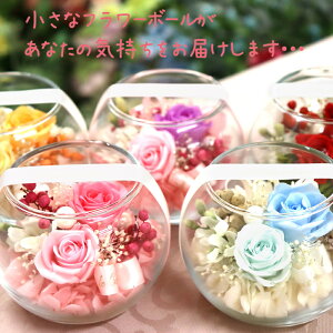 楽天市場 あす楽 15時 プリザーブドフラワー ギフト 仕様 母の日 誕生日 プリザーブド フラワー 結婚祝い プレゼント お祝い 贈り物 花 ガラスドーム 結婚記念日 還暦祝い かわいい おしゃれ 天使 誕生日プレゼント 退職祝い 送料無料 ガラスボール プリザーブド 楽天市場 あす楽 15時 プリザーブドフラワー ギフト 仕様 母の日 誕生日 プリザーブド フラワー 結婚祝い プレゼント お祝い 贈り物 花 ガラスドーム 結婚記念日 還暦祝い かわいい おしゃれ 天使 誕生日プレゼント 退職祝い 送料無料 ガラスボール プリザーブド