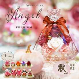 秋モデル大好評 天使が祈る プリザーブドフラワー ローズ大 ガラスドーム エンジェル 誕生日 退職祝い 結婚祝い プレゼント ギフト ブリザードフラワ- 結婚記念日 結婚式 電報 還暦祝い お祝い 贈り物 御礼 女性 花 バラ ペット お供え 仏花 お悔やみ 犬 ドーム クリスマス