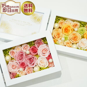 Ԃ̎ʐ^  vU[uht[ tHgt[ ʐ^ ސEj a Mtg j LO j v[g  ʐ^ d  җj  j uU[h t