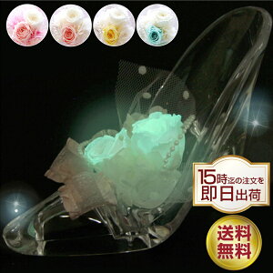  vU[uht[ a ސEj j Mtg o t[ v[g uU[uh t[  j  j i ޏ  KX̌C  LO d  